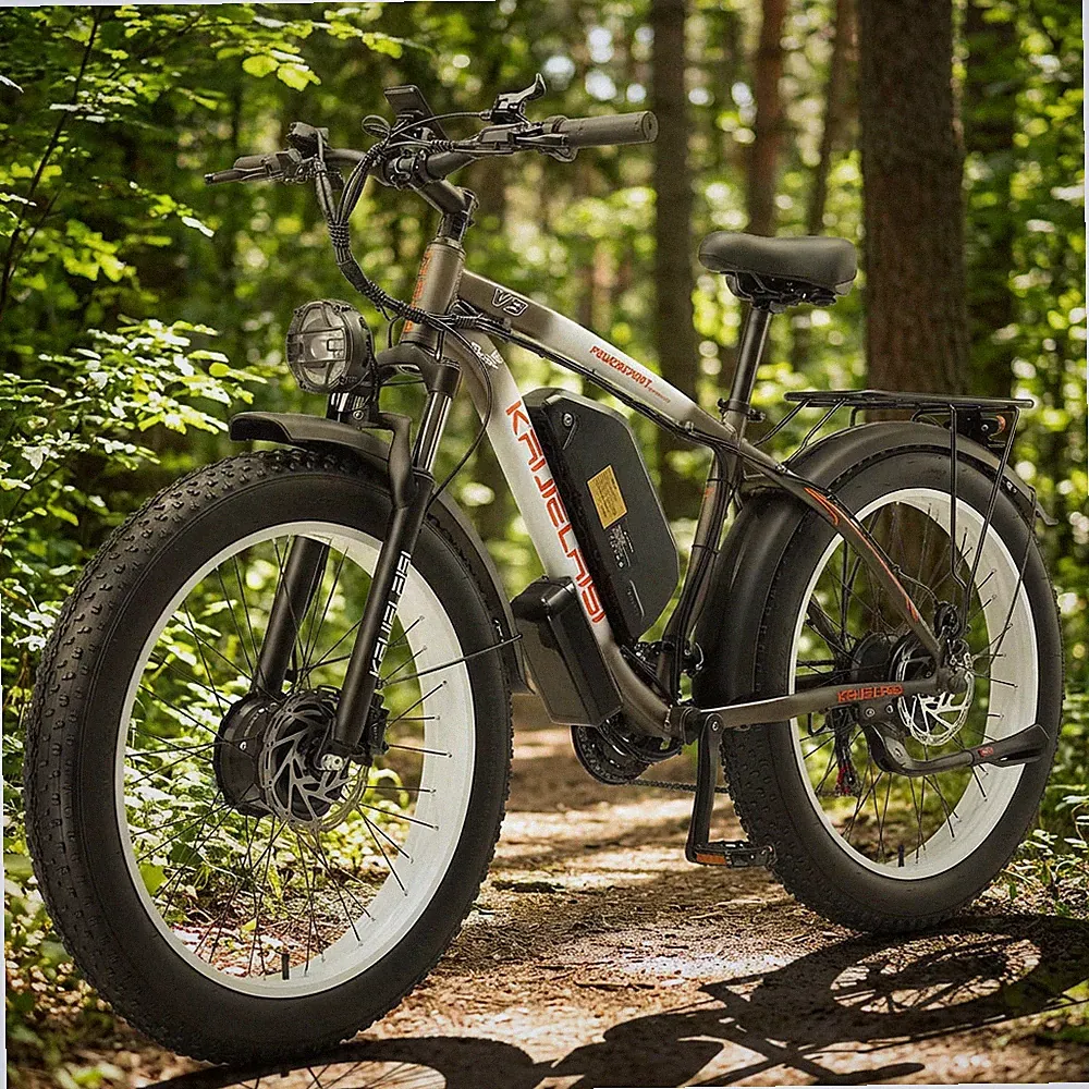800 W & above Electric